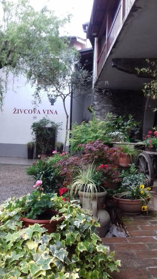 Apartmaji Pri Zivcovih Dutovlje Bagian luar foto